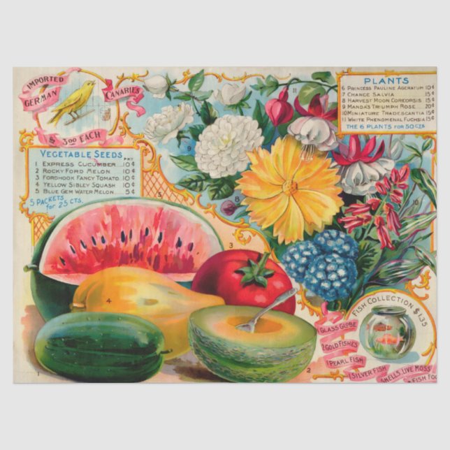 Papel De Seda Old fashioned vegetable fruit flower seed advertis (Frente )