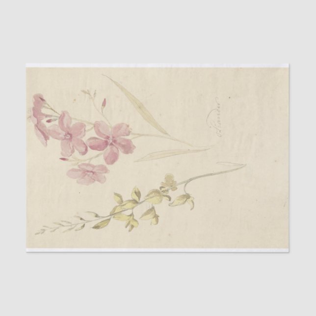 Papel De Seda Oleander en Brem por Elias van Nijmegen (Frente )