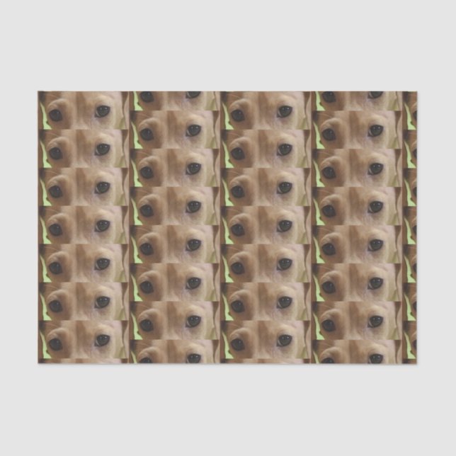 Papel De Seda olhais de creme (Frente )