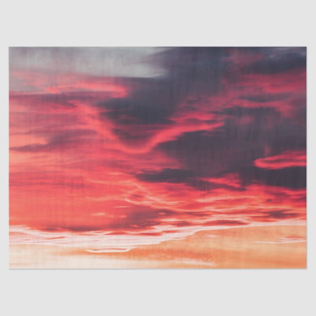 Papel De Seda onda felina (Frente )