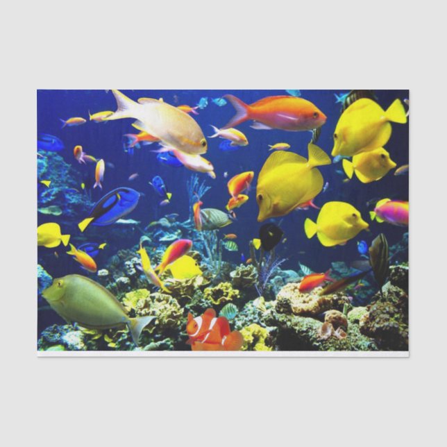 Papel De Seda Opções de Imagem Submarinas 5-6 (Frente )