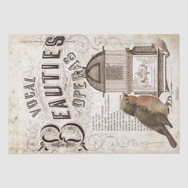 Papel De Seda Ópera Música Robin Bird Birdcage Decoupage (Frente )