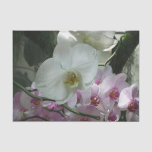 Papel De Seda Orquídeas brancas e roxas