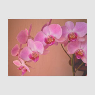 Papel De Seda Orquídeas cor-de-rosa