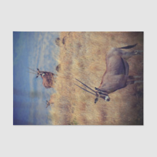 Papel De Seda Oryx na África