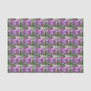 Papel De Seda Os Lilacs bonitos