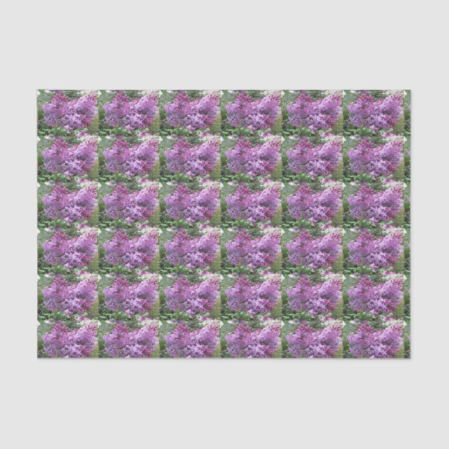 Papel De Seda Os Lilacs bonitos (Frente )