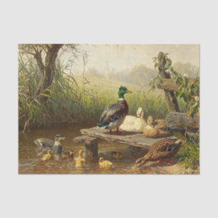 Papel De Seda Os Patos no Lago por Carl Jutz