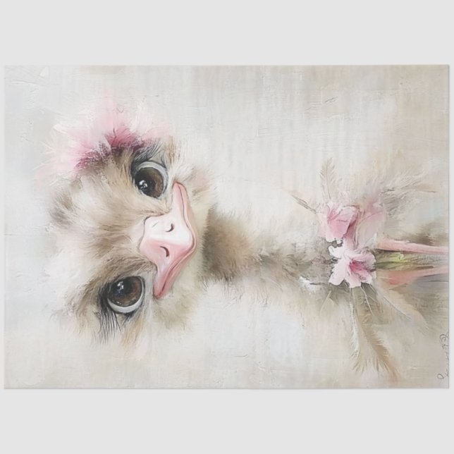 Papel De Seda Ostrich Gracioso Branco Desacoplado, Cor-de-rosa (Frente )