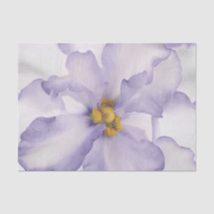 Papel De Seda Ótima Orquídea Lavanda