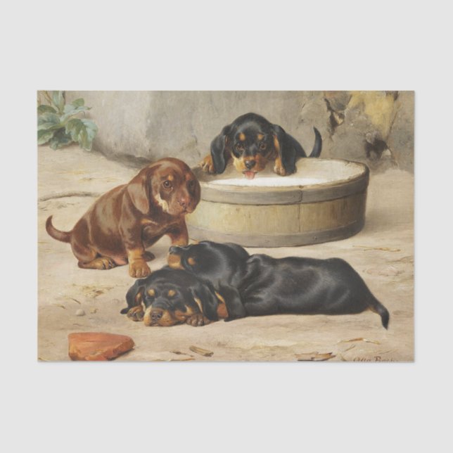 Papel De Seda Otto Bache | Estacas de Dachshund (Frente )