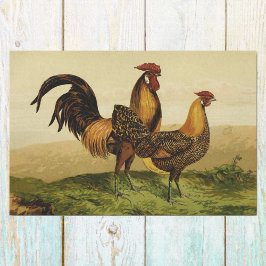 Papel De Seda Ouro Lápis Hamburgo Roosters and Hens na Fazenda