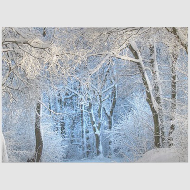 Papel De Seda outra terra maravilhosa do inverno (Frente )