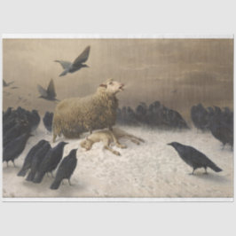 Papel De Seda Ovelha com Morto