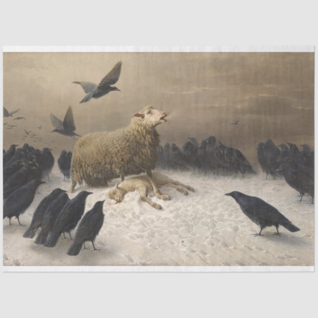 Papel De Seda Ovelha com Morto (Frente )