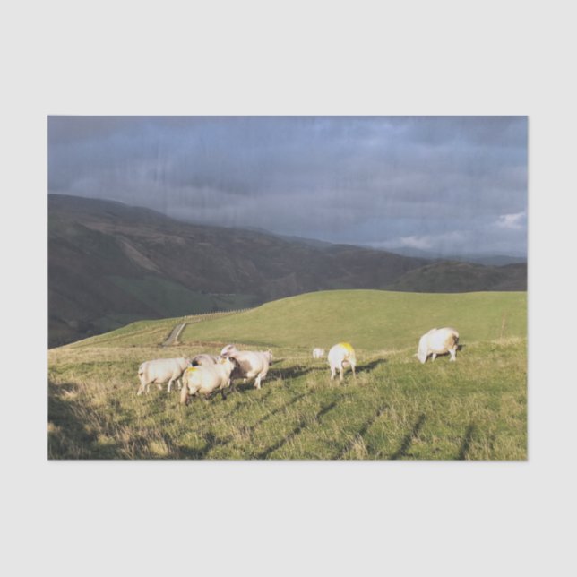 PAPEL DE SEDA OVINO DE MONTANHA (Frente )