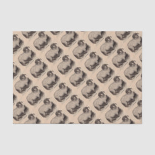 Papel De Seda Ovinos da impressão do século XIX