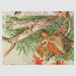 PAPEL DE SEDA OWLS ENTRE AS FOLHAS DE CICLO EM WODLAND