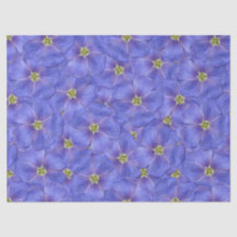 Padrão Azul de Linho Invisível