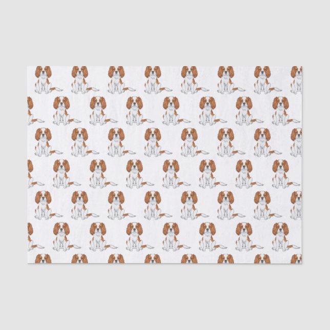 Papel De Seda Padrão Blenheim Cavalier King Charles Spaniel (Frente )
