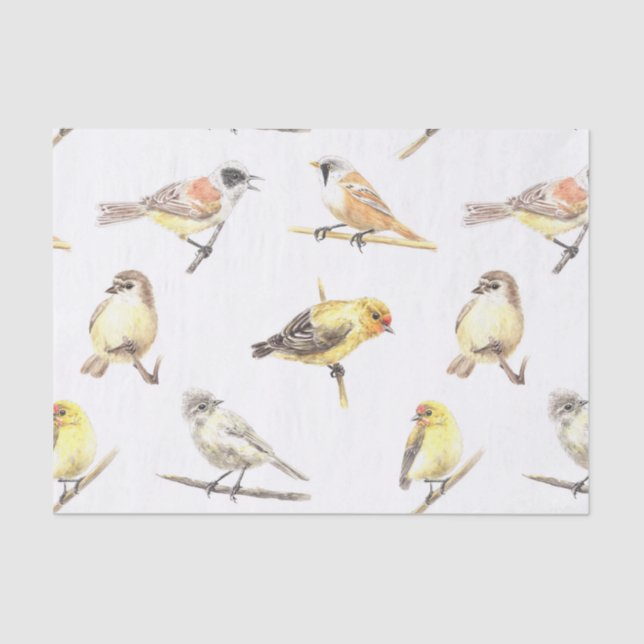 Papel De Seda Padrão de aves em contato (Frente )