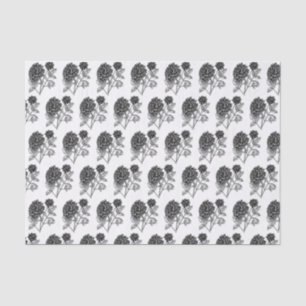 Papel De Seda Padrão de Dahlia Preta e Branca