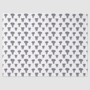 Papel De Seda Padrão de Elefante Frente e Verso Multi Cor