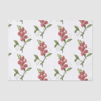 Papel De Seda Padrão de Flor de Ervilha doce