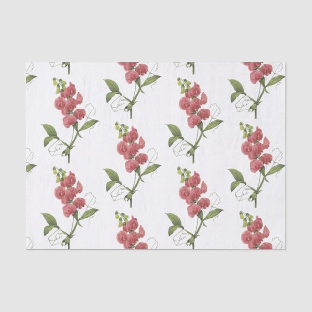 Papel De Seda Padrão de Flor de Ervilha doce (Frente )