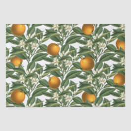 Papel De Seda Padrão de Flor de Fruta de Laranja Botânica Vintag