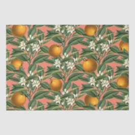 Papel De Seda Padrão de Flor de Fruta de Laranja Botânica Vintag