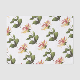 Papel De Seda Padrão de Flor de Honeysuckle