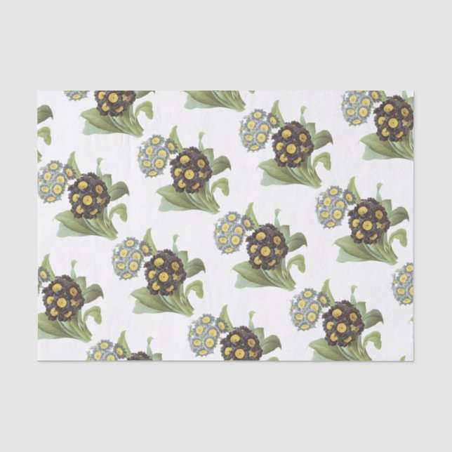 Papel De Seda Padrão de Flor de Primula (Frente )
