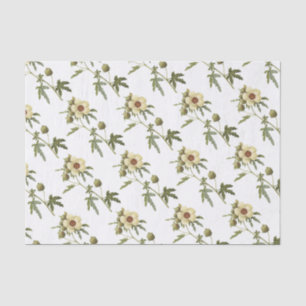Papel De Seda Padrão de Flor do Hibiscus trionum