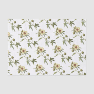 Papel De Seda Padrão de Flor do Hibiscus trionum