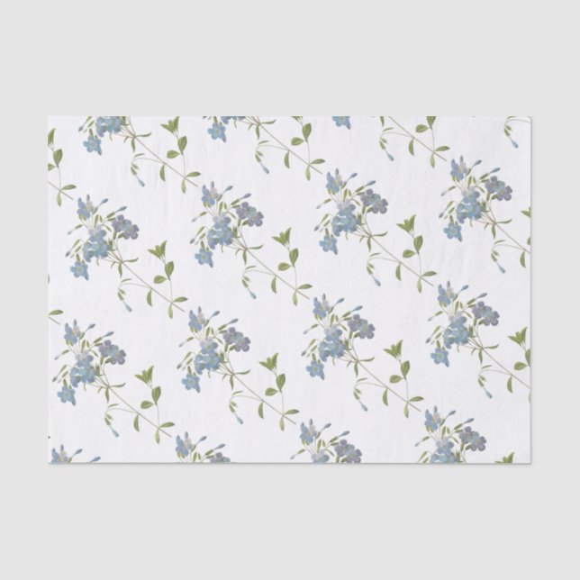 Papel De Seda Padrão de Flor do Phlox (Frente )