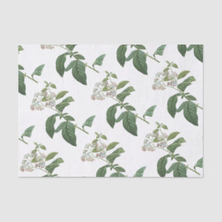 Papel De Seda Padrão de Flor Heliotrope