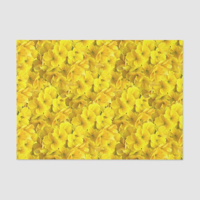 Papel De Seda Padrão de Flores de Primrose Amarela (Frente )