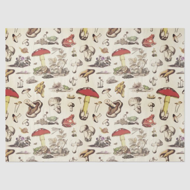 Papel De Seda Padrão de Floresta de Caracol de Sapo de Logão de  (Frente )