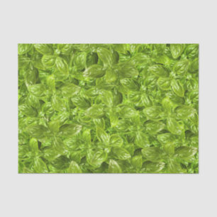 Papel De Seda Padrão de Folhas de Basil