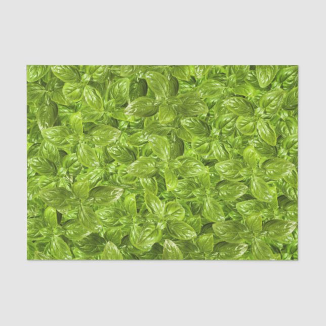Papel De Seda Padrão de Folhas de Basil (Frente )