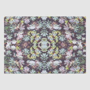 Papel De Seda Padrão de Foto de Plantas Jardineiras Suculentas