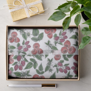 Papel De Seda Padrão de Ilustração de Folhas de Fruta de Framboe