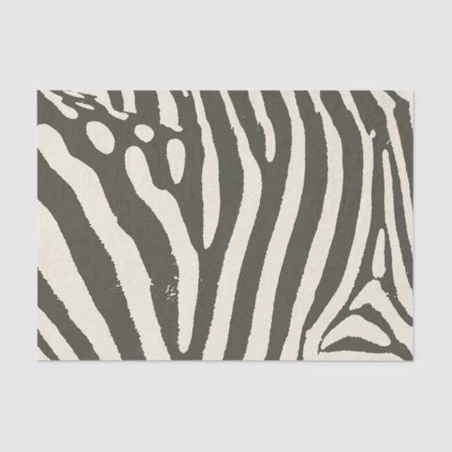 Papel De Seda Padrão de Impressão de Animais Zebra Stripe (Frente )