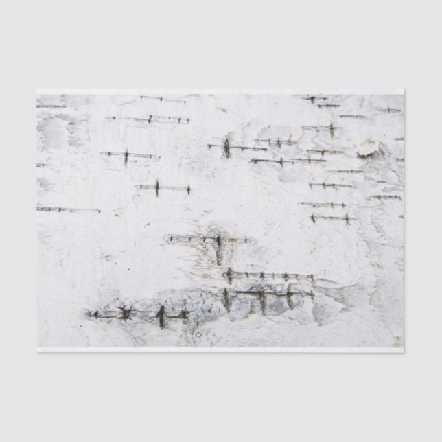 Papel De Seda Padrão de latido de aves (Frente )