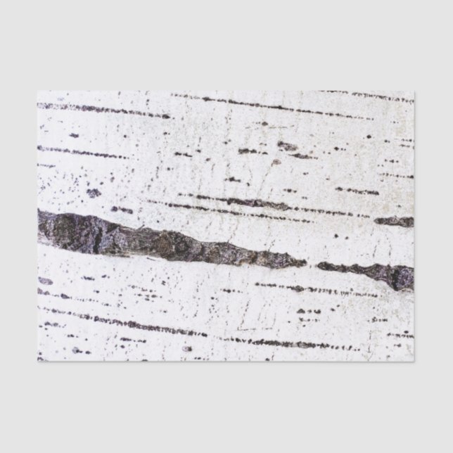 Papel De Seda Padrão de latido de aves (Frente )