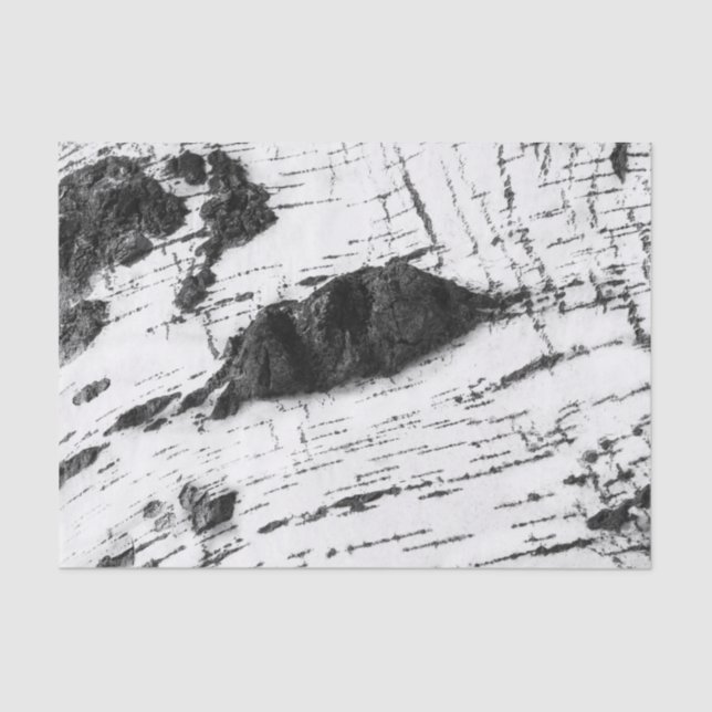 Papel De Seda Padrão de latido de aves (Frente )