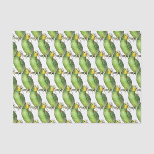 Papel De Seda Padrão de papagaio exótico verde e amarelo (Frente )
