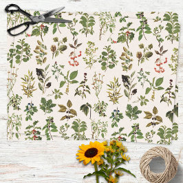 Papel De Seda Padrão de Planta Verde de Herbário Vintage