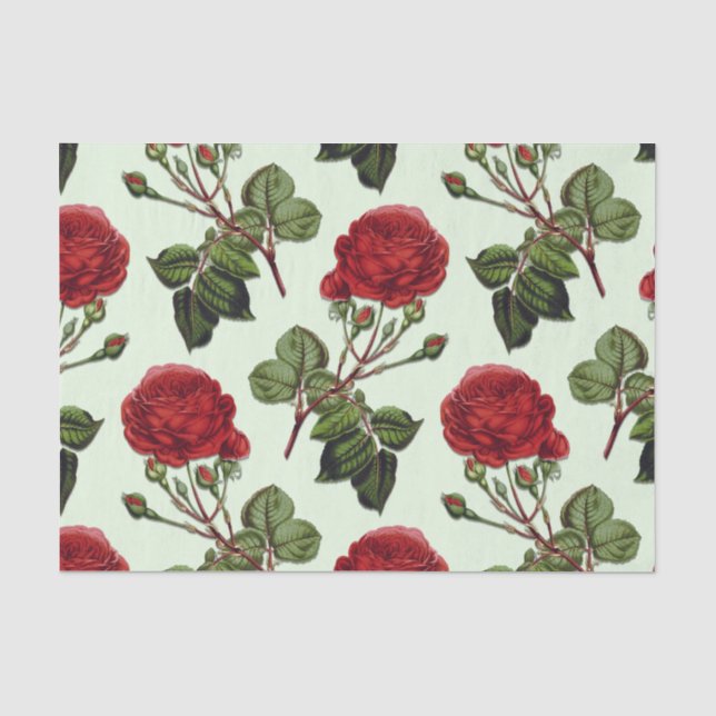 Papel De Seda Padrão de Rosa de Haste Longa Vermelha em Fundo Ve (Frente )
